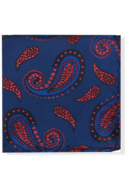 Blue Burgundy Paisley Tie & Pocket Square Set